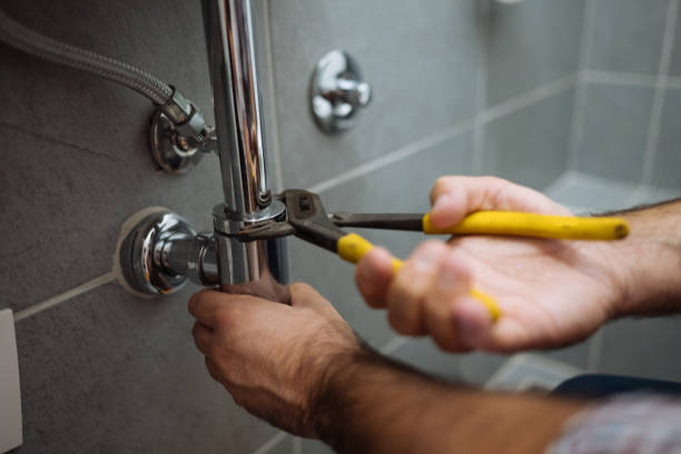 Best Plumbing Services Near Me  in Capitol View, SC